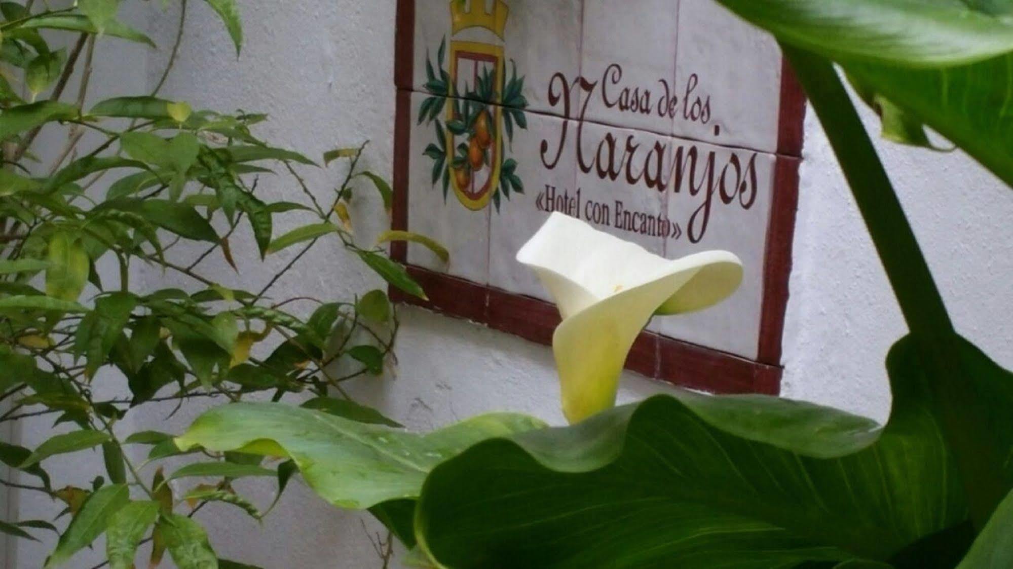 Hotel Boutique Puerta Del Rincon Córdoba Kültér fotó
